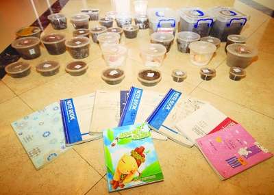 南京一小孩被誉小达尔文 一年写322篇昆虫博